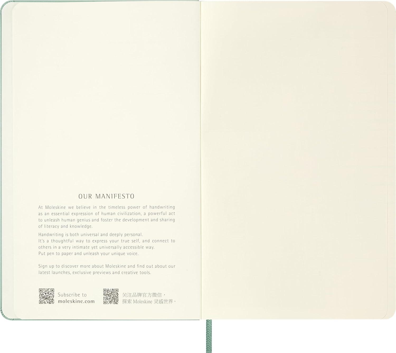 imageMoleskine Colored Patterned Notebook Hard Cover Large 5 x 825 PlainBlank Sage Green 240 Pages